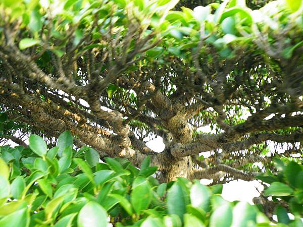 DSCF0030.JPG DSCF0030.JPG