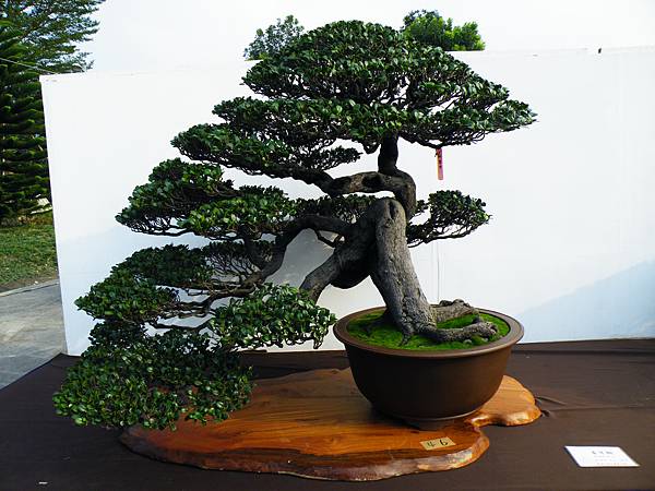 DSCF0032.JPG DSCF0032.JPG