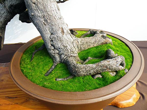 DSCF0033.JPG DSCF0033.JPG