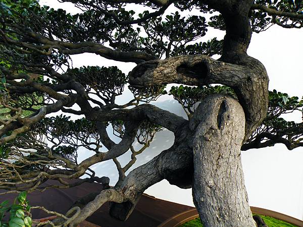 DSCF0034.JPG DSCF0034.JPG