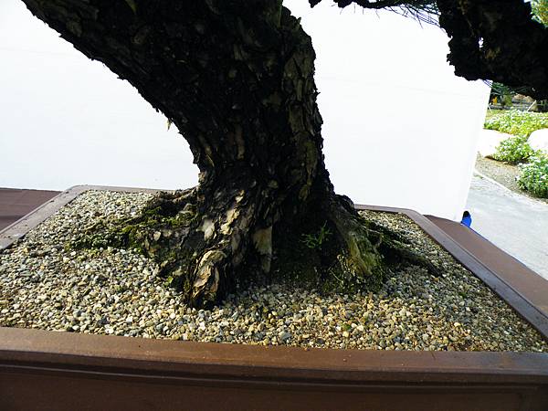 DSCF0037.JPG DSCF0037.JPG