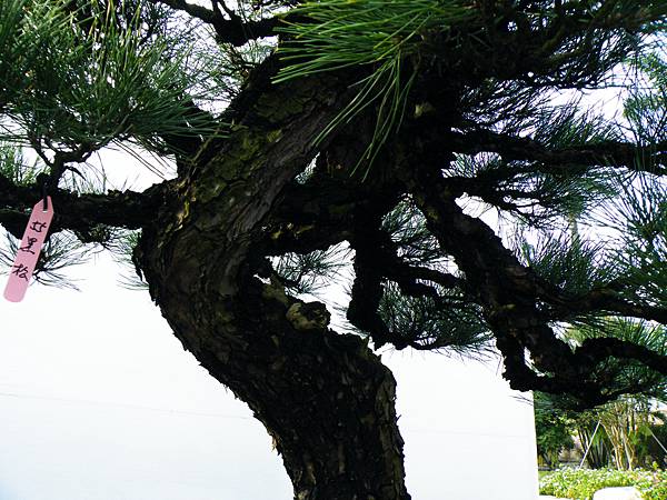 DSCF0038.JPG DSCF0038.JPG