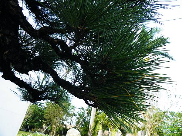 DSCF0039.JPG DSCF0039.JPG