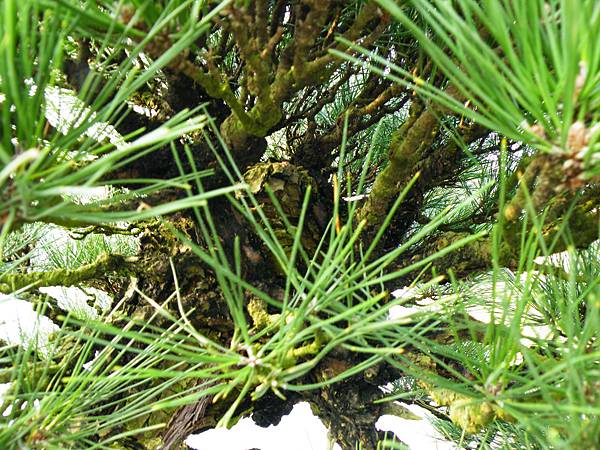 DSCF0040.JPG DSCF0040.JPG