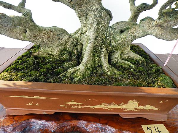 DSCF0042.JPG DSCF0042.JPG