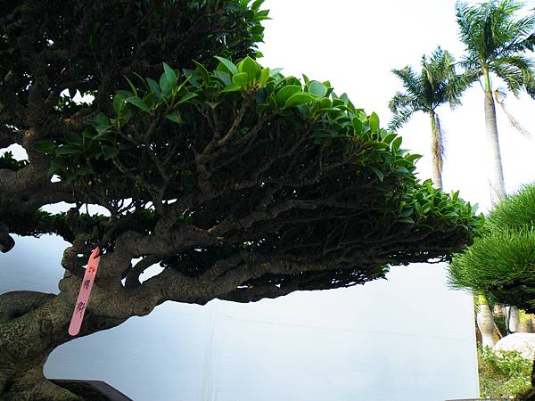 DSCF0044.JPG DSCF0044.JPG