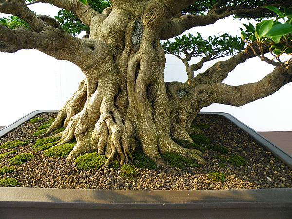 DSCF0046.JPG DSCF0046.JPG