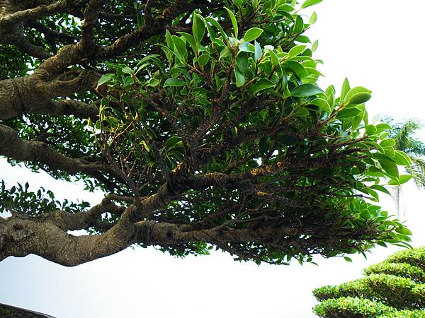 DSCF0048.JPG DSCF0048.JPG