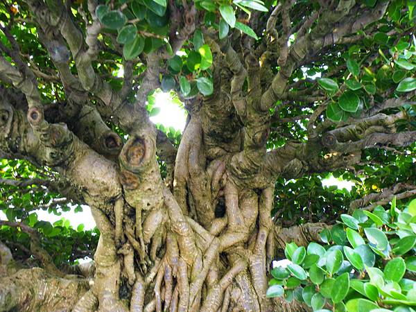 DSCF0060.JPG DSCF0060.JPG