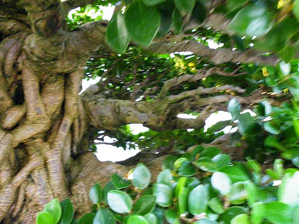 DSCF0062.JPG DSCF0062.JPG