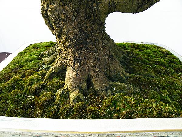 DSCF0064.JPG DSCF0064.JPG