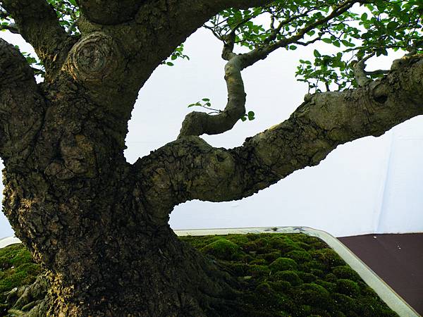 DSCF0065.JPG DSCF0065.JPG