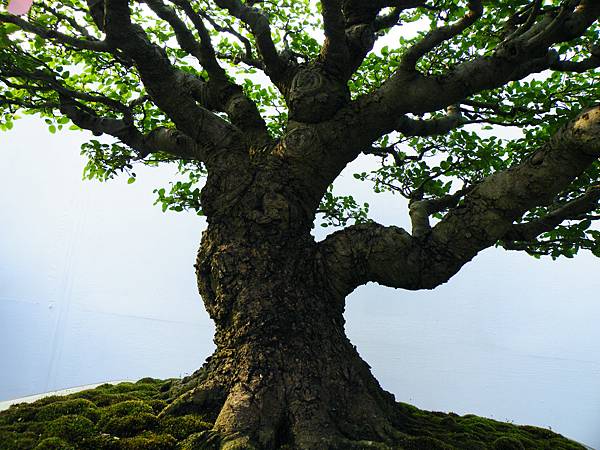 DSCF0066.JPG DSCF0066.JPG