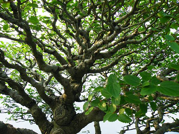 DSCF0067.JPG DSCF0067.JPG