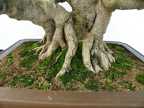 DSCF0069.JPG DSCF0069.JPG