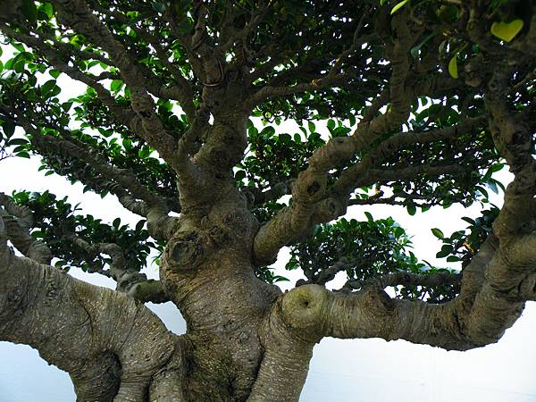 DSCF0070.JPG DSCF0070.JPG