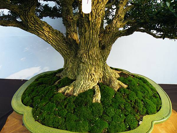 DSCF0072.JPG DSCF0072.JPG