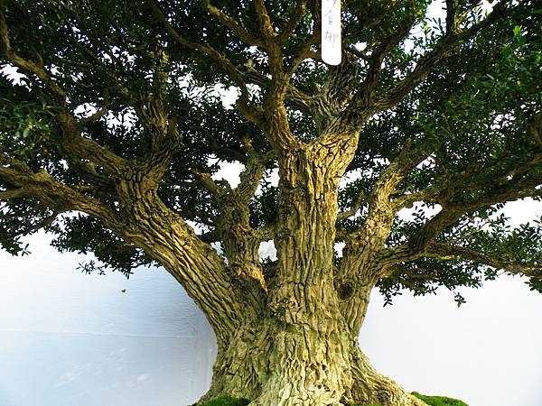 DSCF0073.JPG DSCF0073.JPG