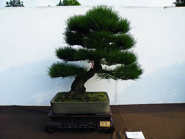 DSCF0076.JPG DSCF0076.JPG