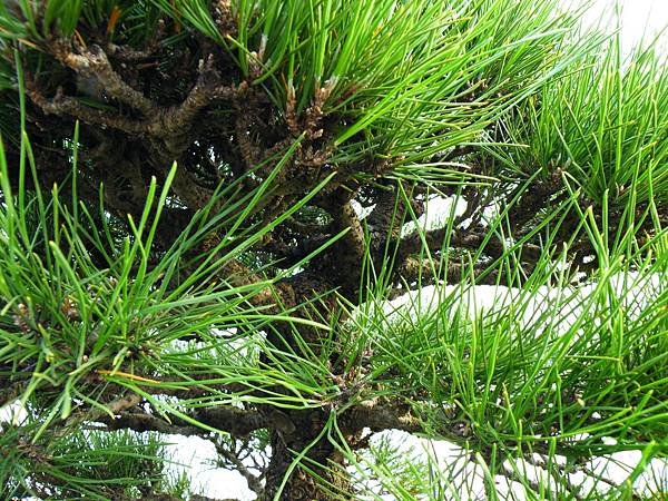 DSCF0079.JPG DSCF0079.JPG