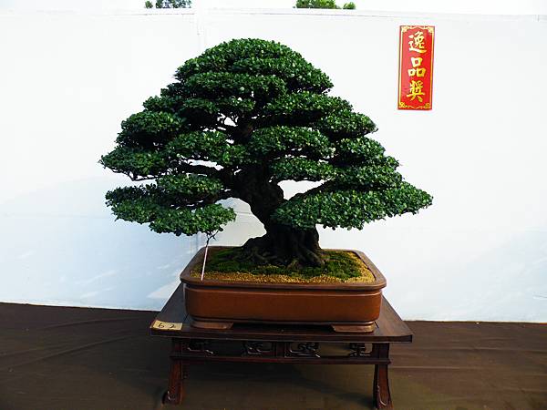 DSCF0088.JPG DSCF0088.JPG