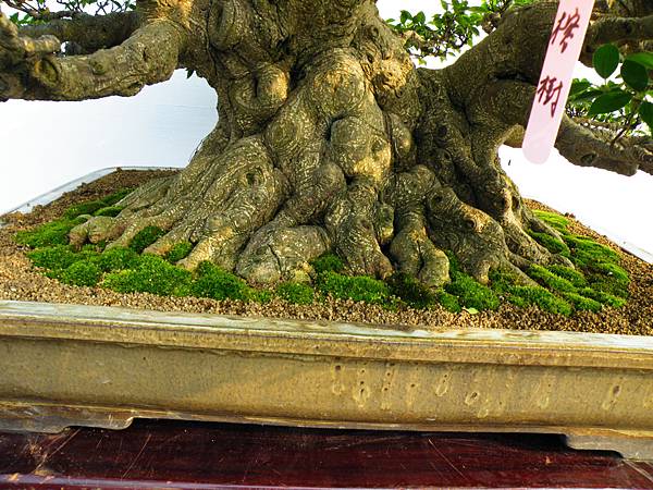 DSCF0097.JPG DSCF0097.JPG