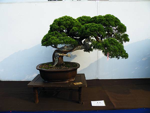 DSCF0100.JPG DSCF0100.JPG