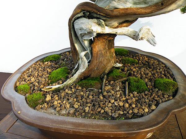 DSCF0101.JPG DSCF0101.JPG