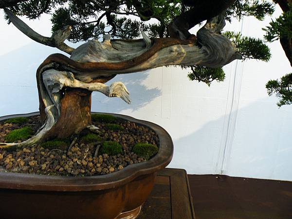 DSCF0102.JPG DSCF0102.JPG