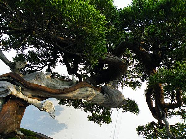 DSCF0103.JPG DSCF0103.JPG