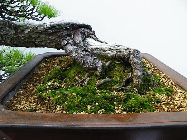 DSCF0109.JPG DSCF0109.JPG