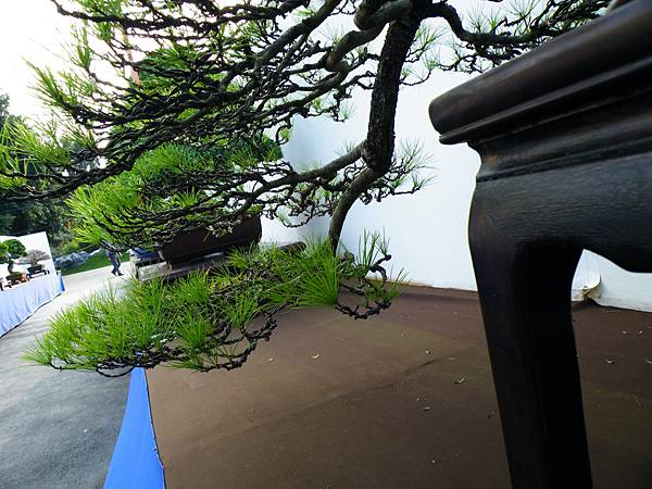 DSCF0112.JPG DSCF0112.JPG