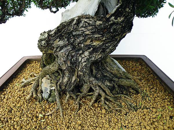 DSCF0114.JPG DSCF0114.JPG