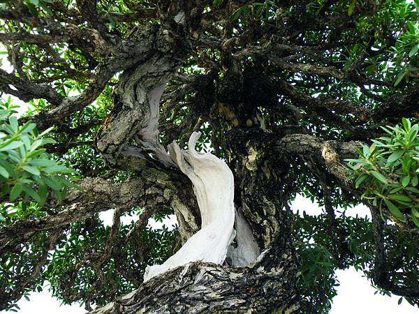 DSCF0115.JPG DSCF0115.JPG