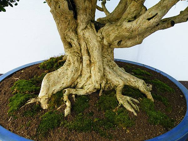 DSCF0118.JPG DSCF0118.JPG