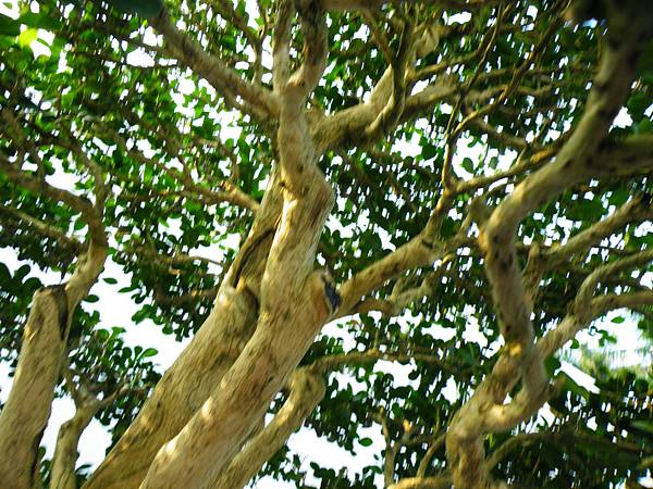 DSCF0120.JPG DSCF0120.JPG