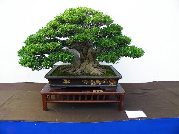 DSCF0121.JPG DSCF0121.JPG