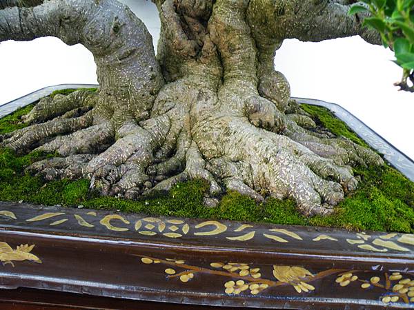 DSCF0122.JPG DSCF0122.JPG