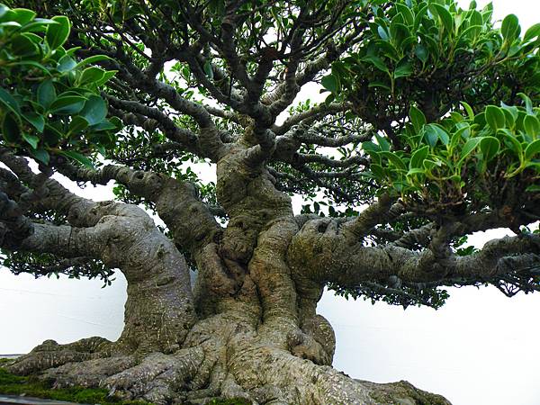 DSCF0123.JPG DSCF0123.JPG