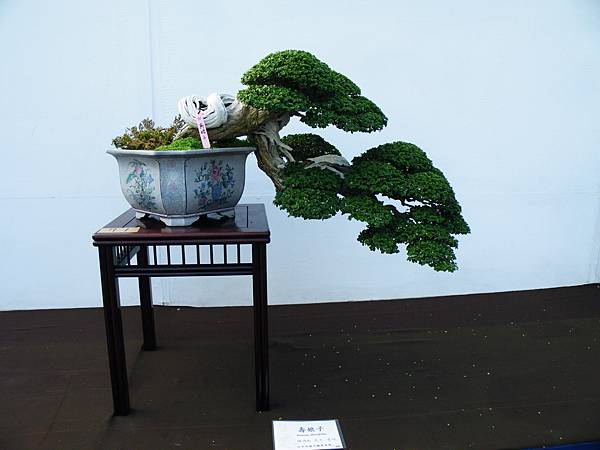 DSCF0124.JPG DSCF0124.JPG