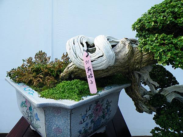 DSCF0126.JPG DSCF0126.JPG