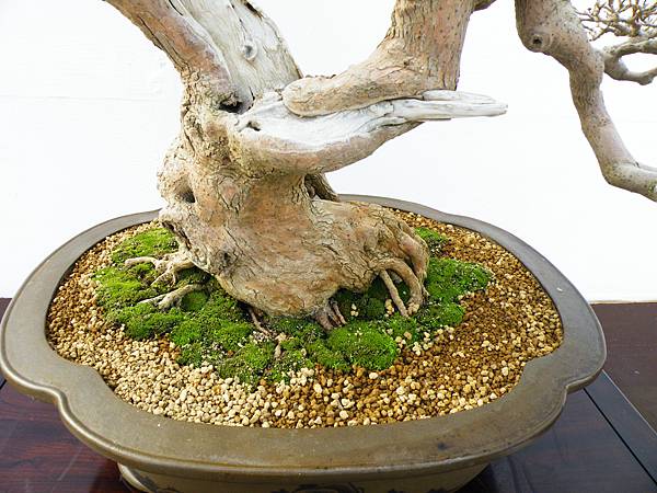 DSCF0128.JPG DSCF0128.JPG