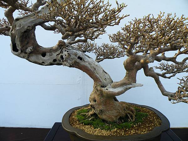 DSCF0129.JPG DSCF0129.JPG