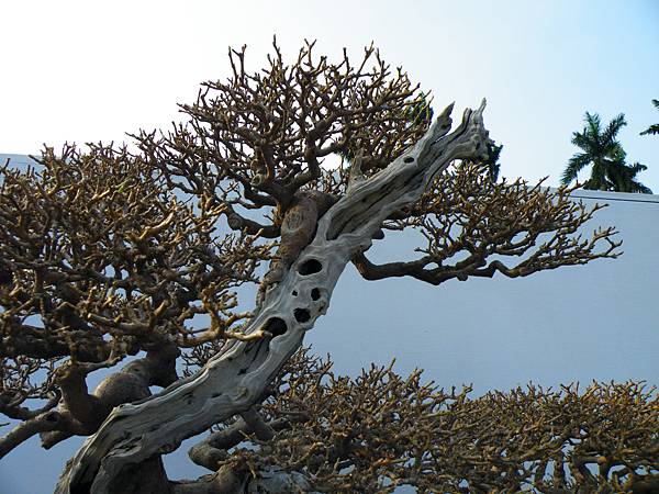 DSCF0130.JPG DSCF0130.JPG