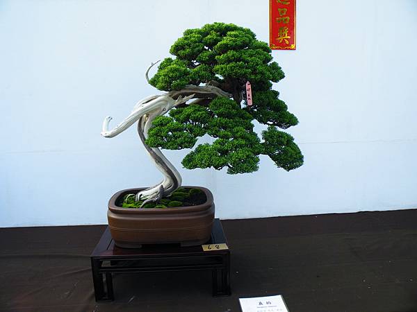 DSCF0131.JPG DSCF0131.JPG