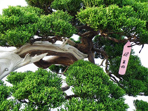 DSCF0134.JPG DSCF0134.JPG