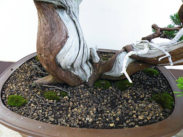 DSCF0136.JPG DSCF0136.JPG