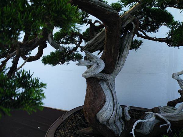 DSCF0137.JPG DSCF0137.JPG