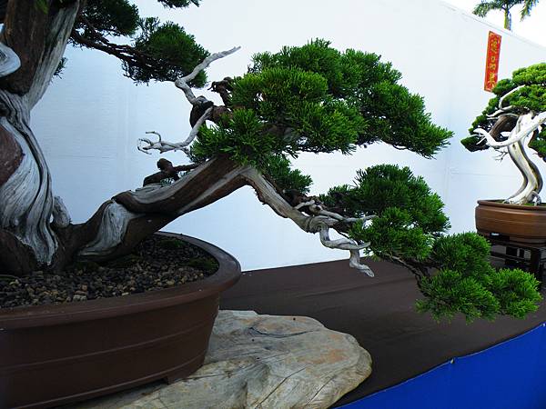 DSCF0138.JPG DSCF0138.JPG