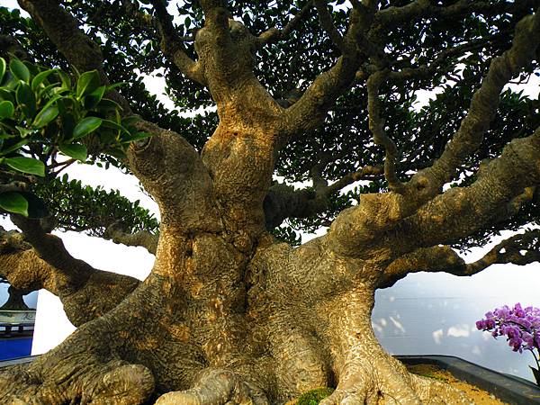 DSCF0141.JPG DSCF0141.JPG